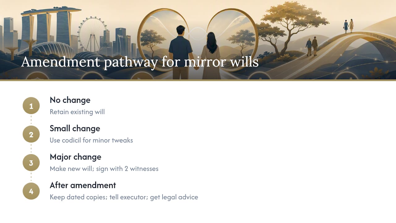 Mirror will amendment pathways and follow-up steps