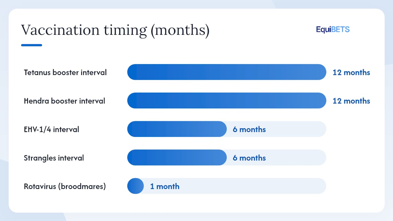 Horse vaccination schedule: a practical guide for owners — overview diagram