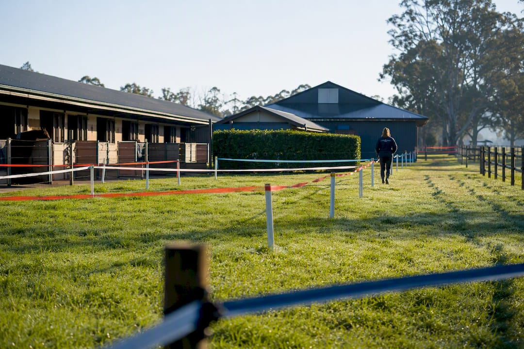 Stable yard zone division with flags