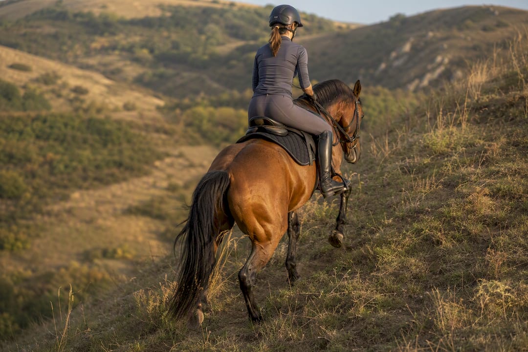 Horse climbing grassy hill for strength training