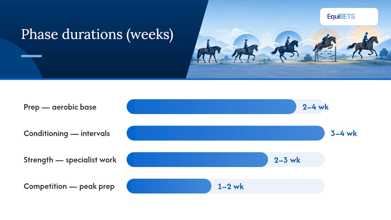Timeline diagram of horse training phases