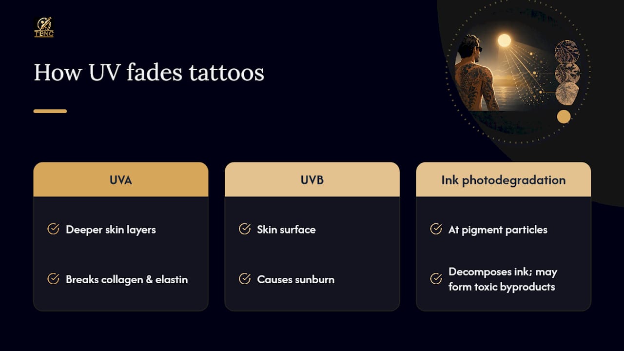 Why Sun Exposure Fades Tattoos Over Time — overview diagram