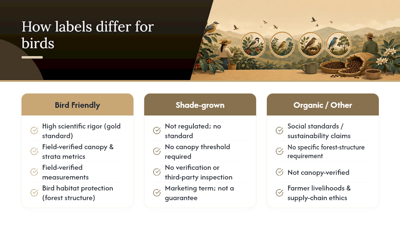 Diagram comparing coffee certification standards