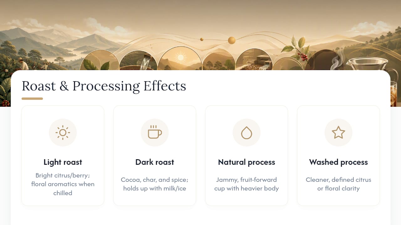 Diagram of roast level and processing impact on cold brew flavor