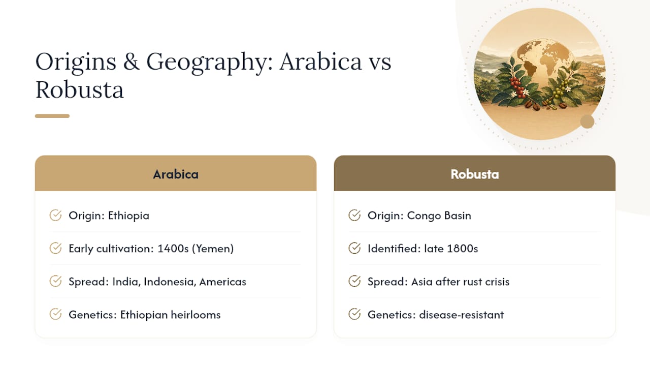 Historical and Geographical Origins of Arabica and Robusta — overview diagram