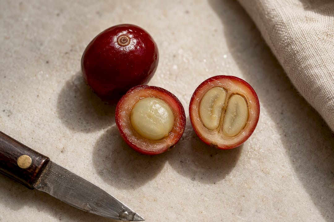 Coffee cherries revealing round and paired seeds