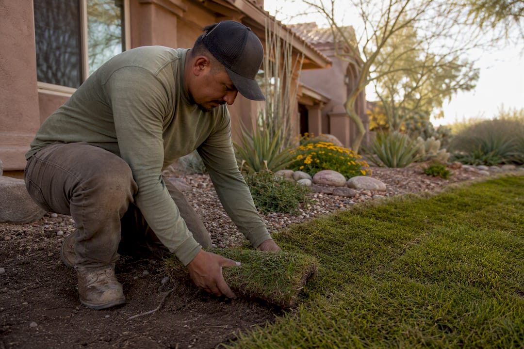 Sod vs Seed Lawn: Choosing by Budget, Speed, or Erosion