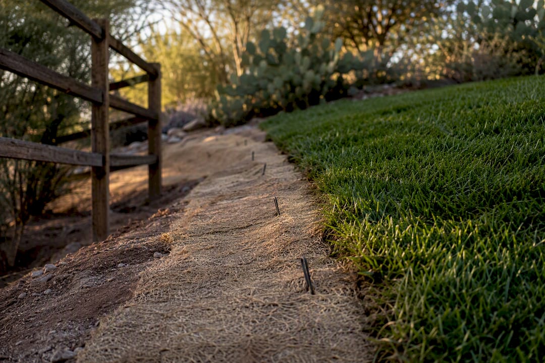 Slope yard with erosion control blanket and sod