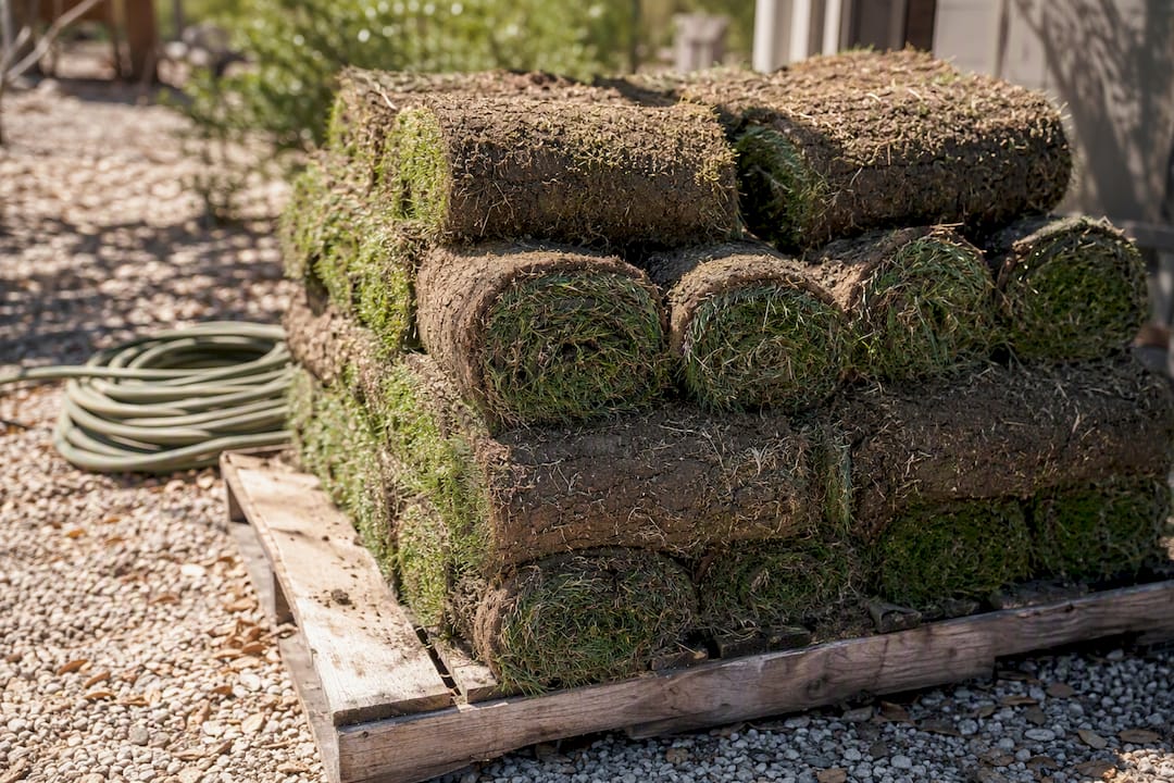 Stack of fresh sod rolls on pallet outdoors