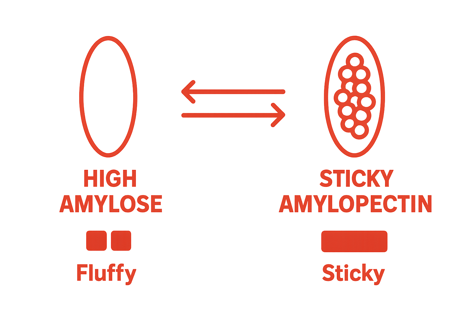 Infographic contrasting amylose and amylopectin in Thai sticky rice vs. regular rice