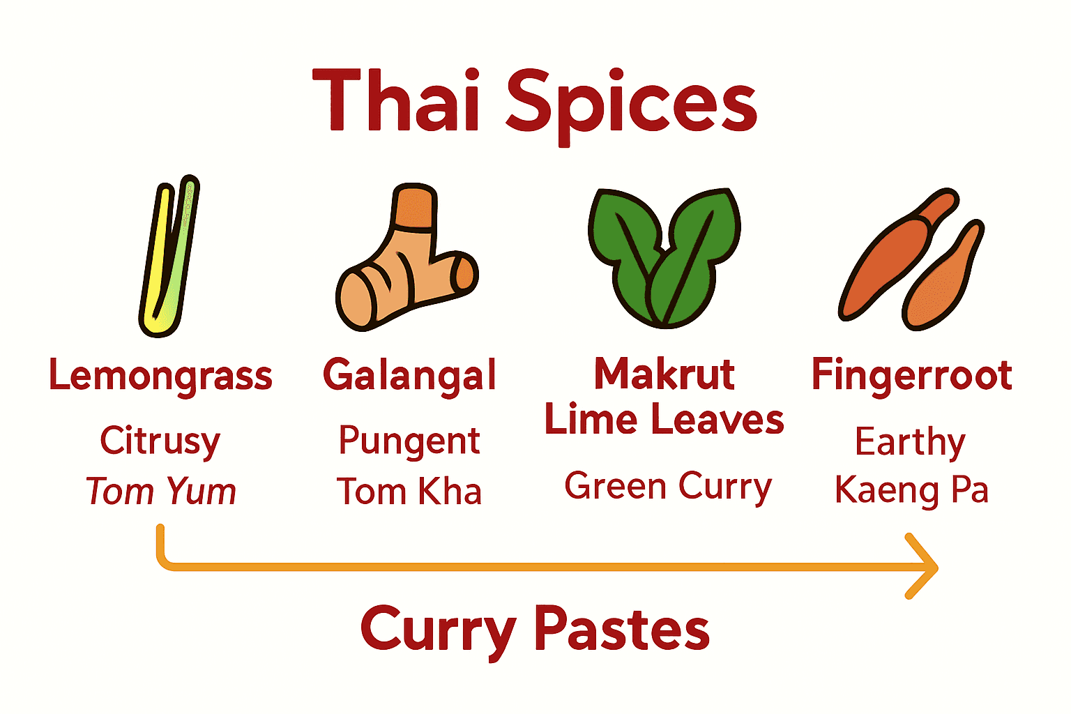 Infographic comparing four major spices in Thai cuisine