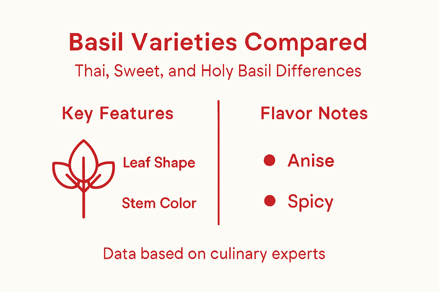 Infographic comparing Thai, sweet, and holy basil