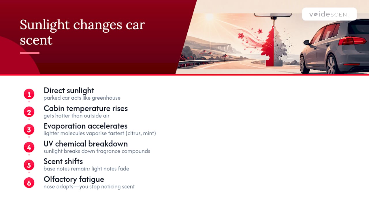 How heat changes car fragrance notes