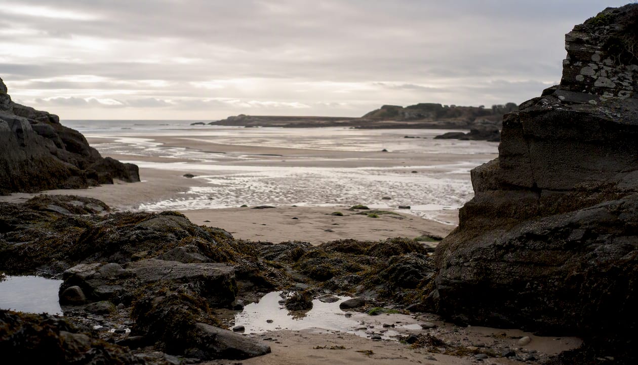 Coastal shoreline revealing wide tidal range at low tide