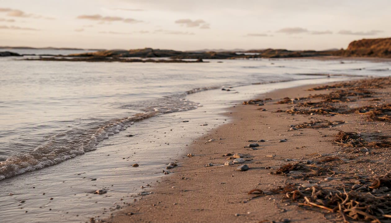 Calm shoreline with small tides at neap tide
