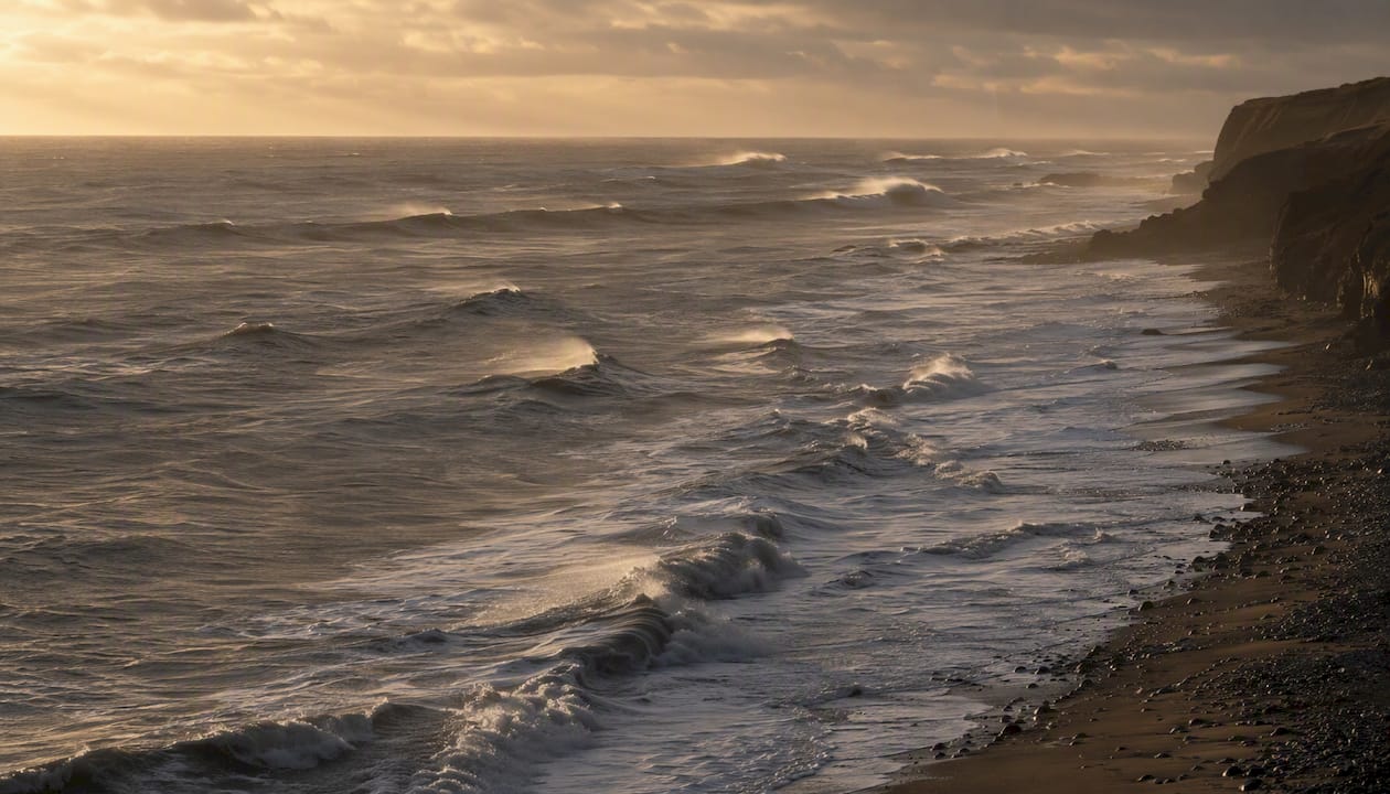 Ocean surface showing wind sea and swell contrast