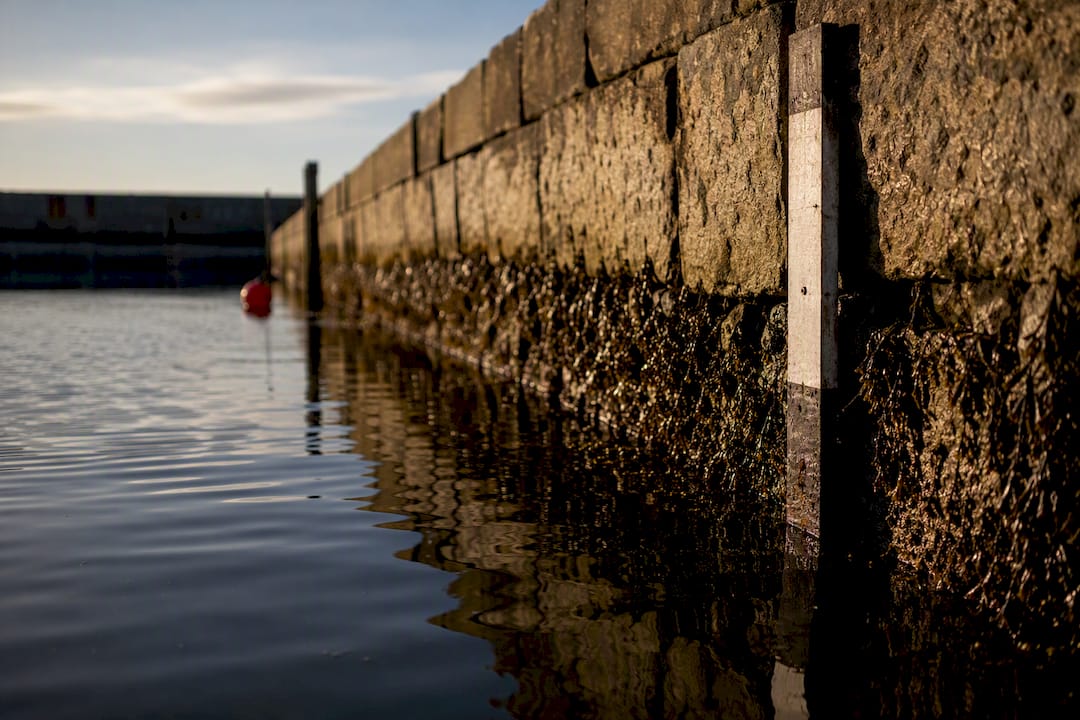Tide staff beside changing harbor waterline