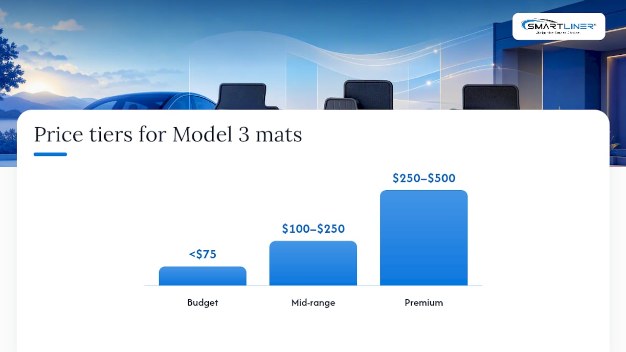 How to choose Model 3 floor mats: a buyer's checklist — overview diagram