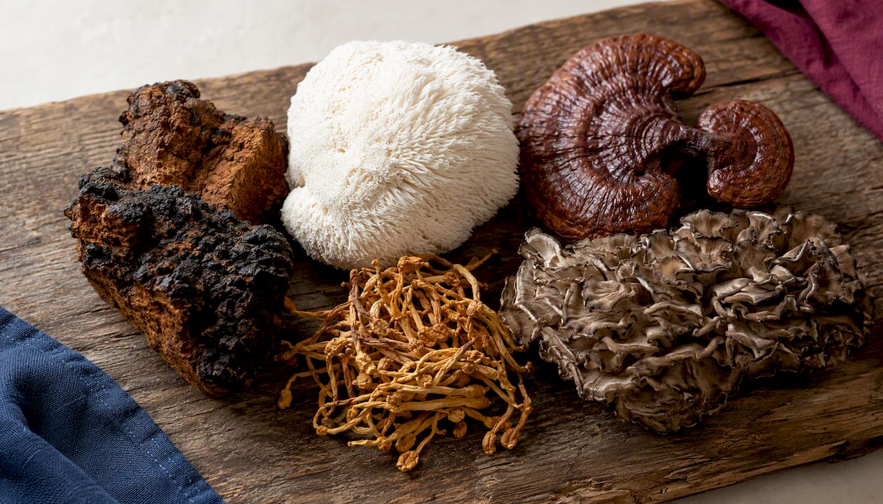 Assorted functional mushrooms including reishi and lion's mane