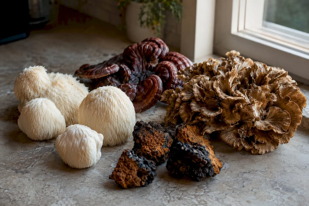 Assorted fresh functional mushrooms on wood
