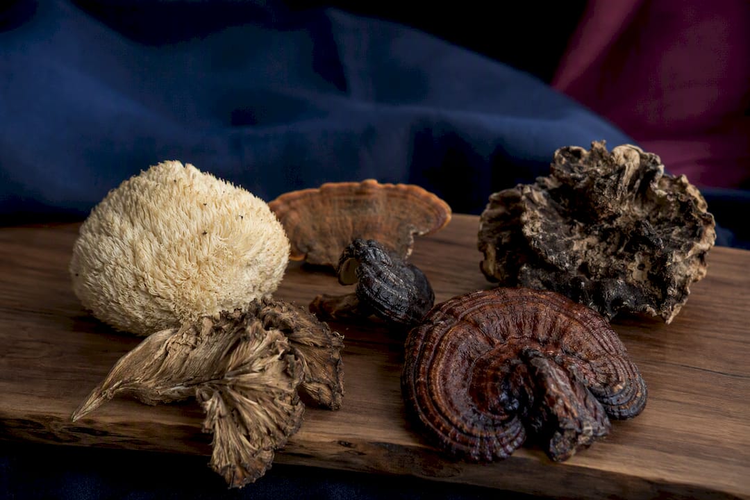 Six dried functional mushrooms on wooden board