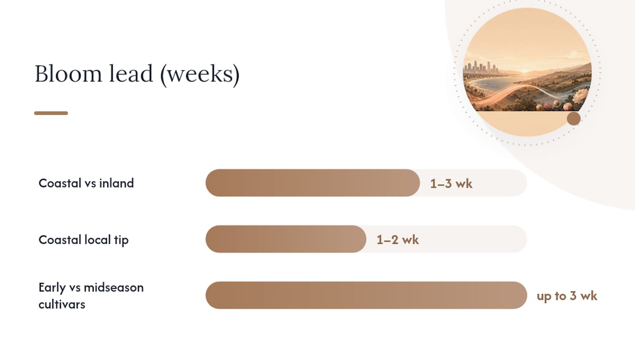 What Affects Bloom Timing in Los Angeles? — overview diagram