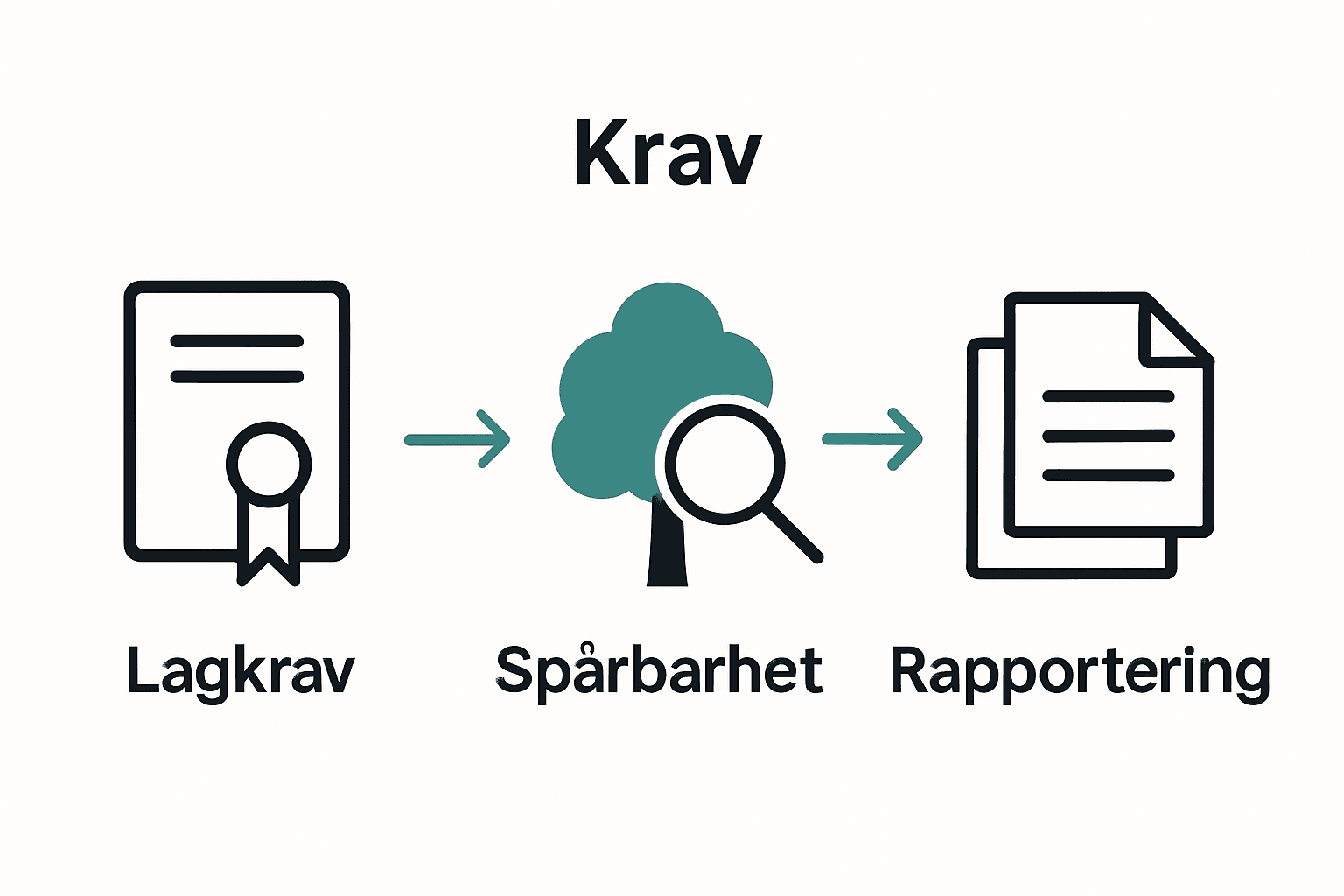 Infografik om lagkrav, spårbarhet och rapportering för vedföretag