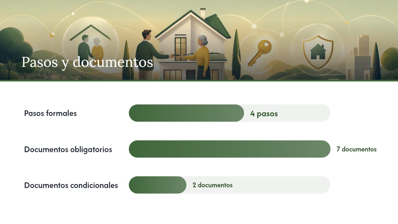 Pasos formales del proceso — overview diagram