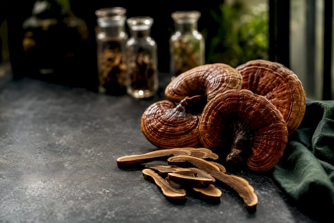 Reishi mushrooms arranged for botanical research