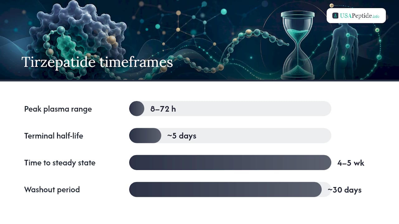 Diagram of tirzepatide pharmacokinetics and dosing timeline