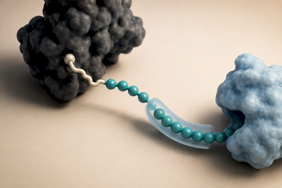 Illustration of semaglutide structural modifications