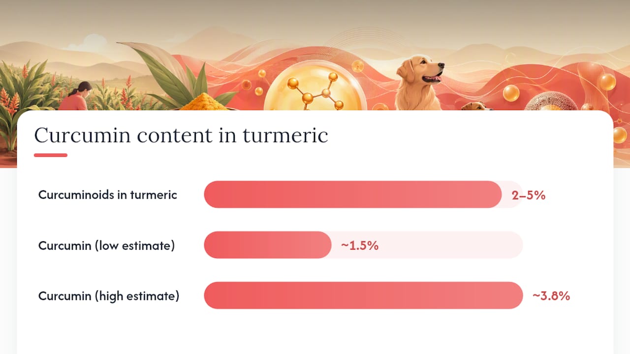 Turmeric to curcumin percentage breakdown