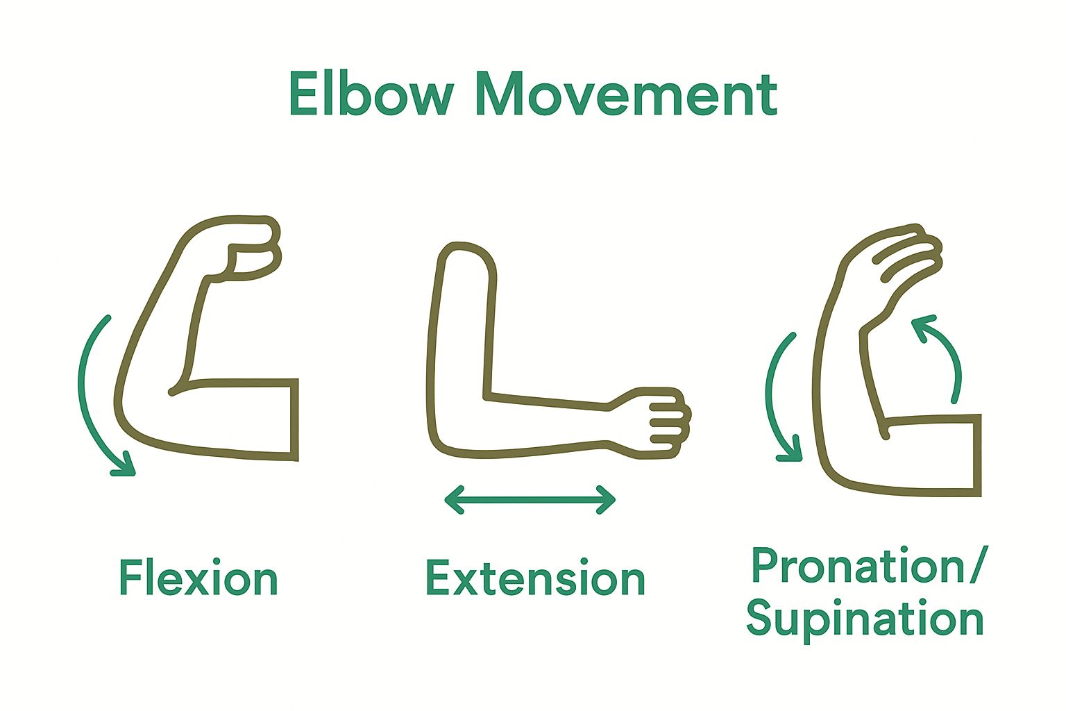 Three icons show elbow flexion, extension, and rotation movements