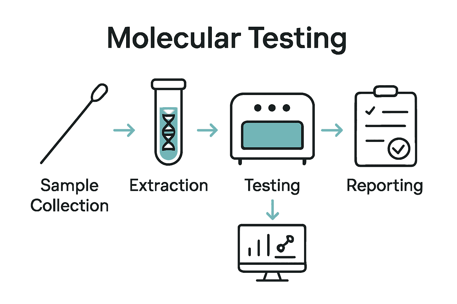 Infographic of five steps in molecular testing process with icons.