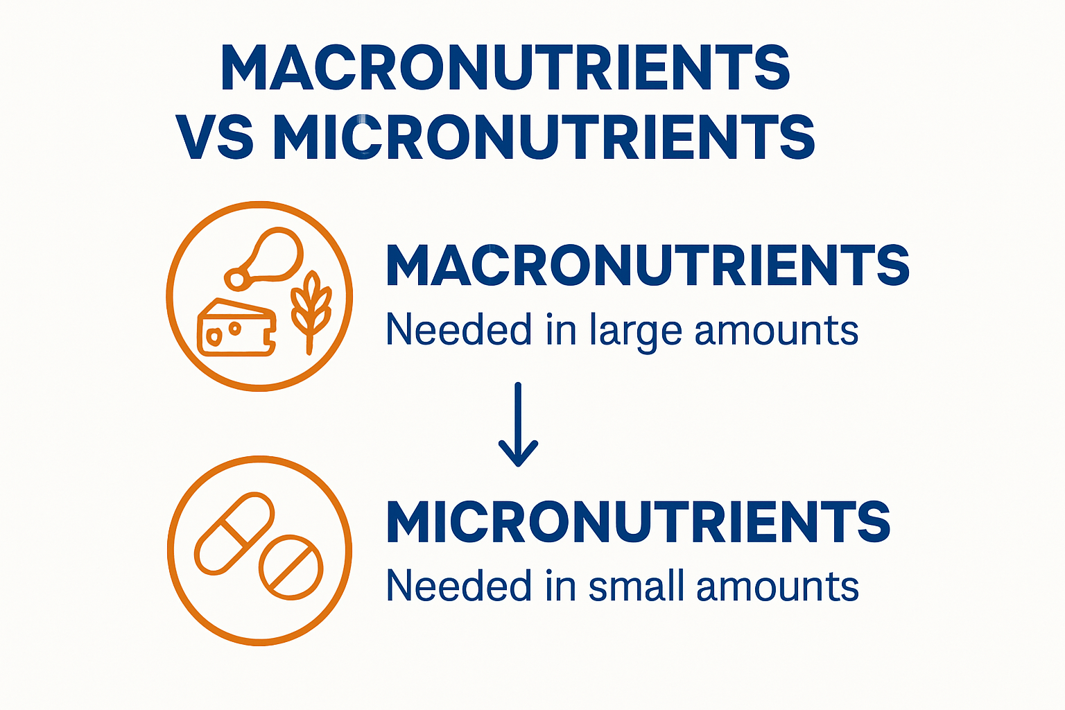 Infographic showing macronutrients vs micronutrients.