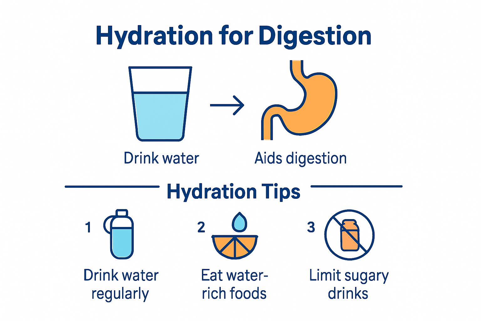 Infographic showing hydration tips for better digestion.