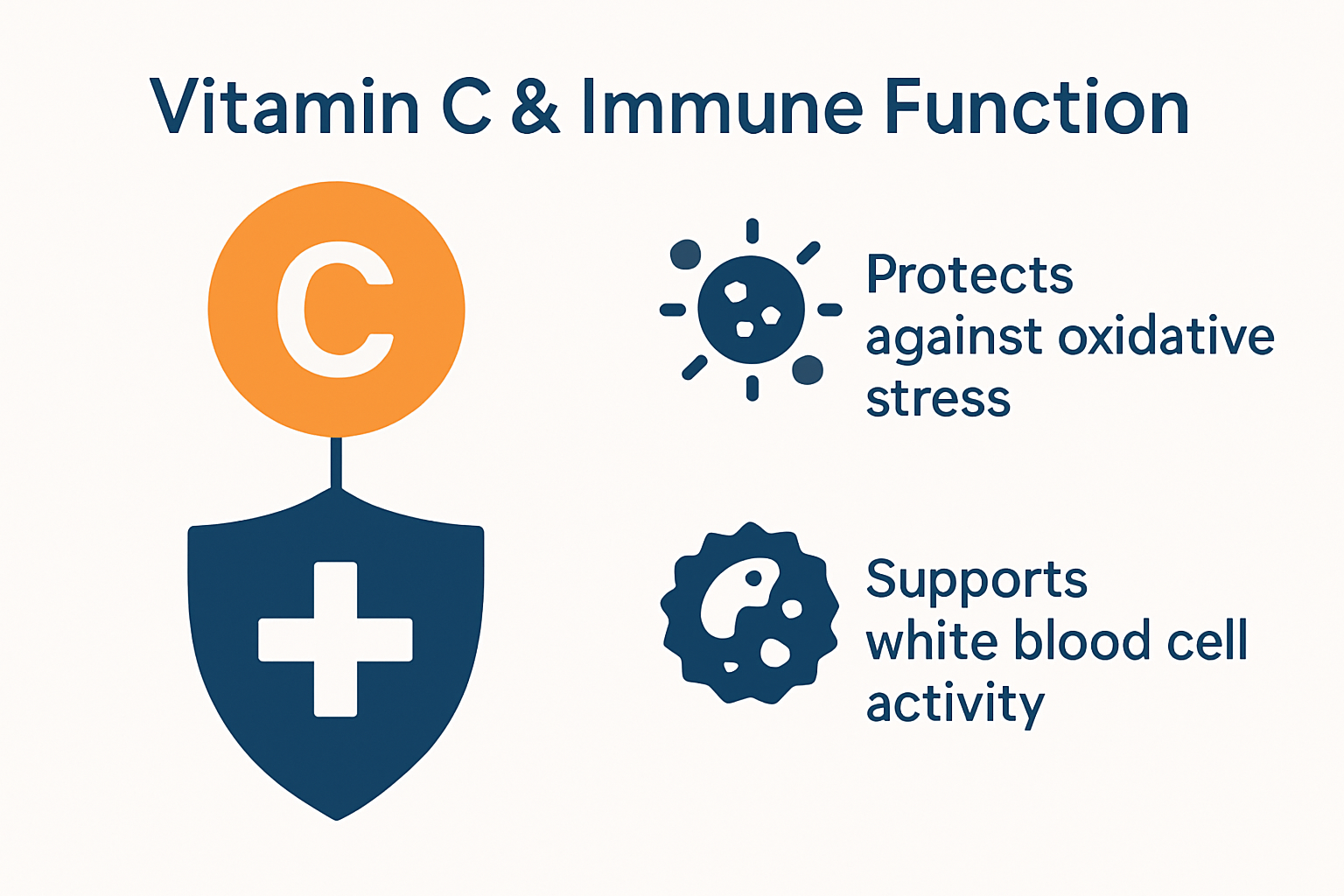 Infographic showing how Vitamin C supports immune health.