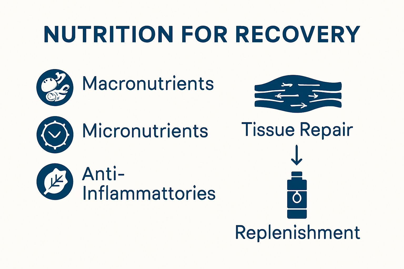 Infographic showing nutrition's key roles in the recovery process