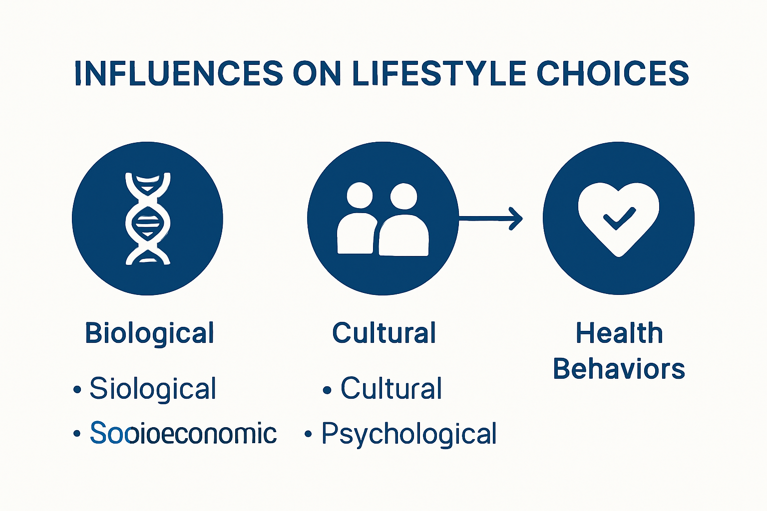 Visual summary of factors influencing lifestyle choices