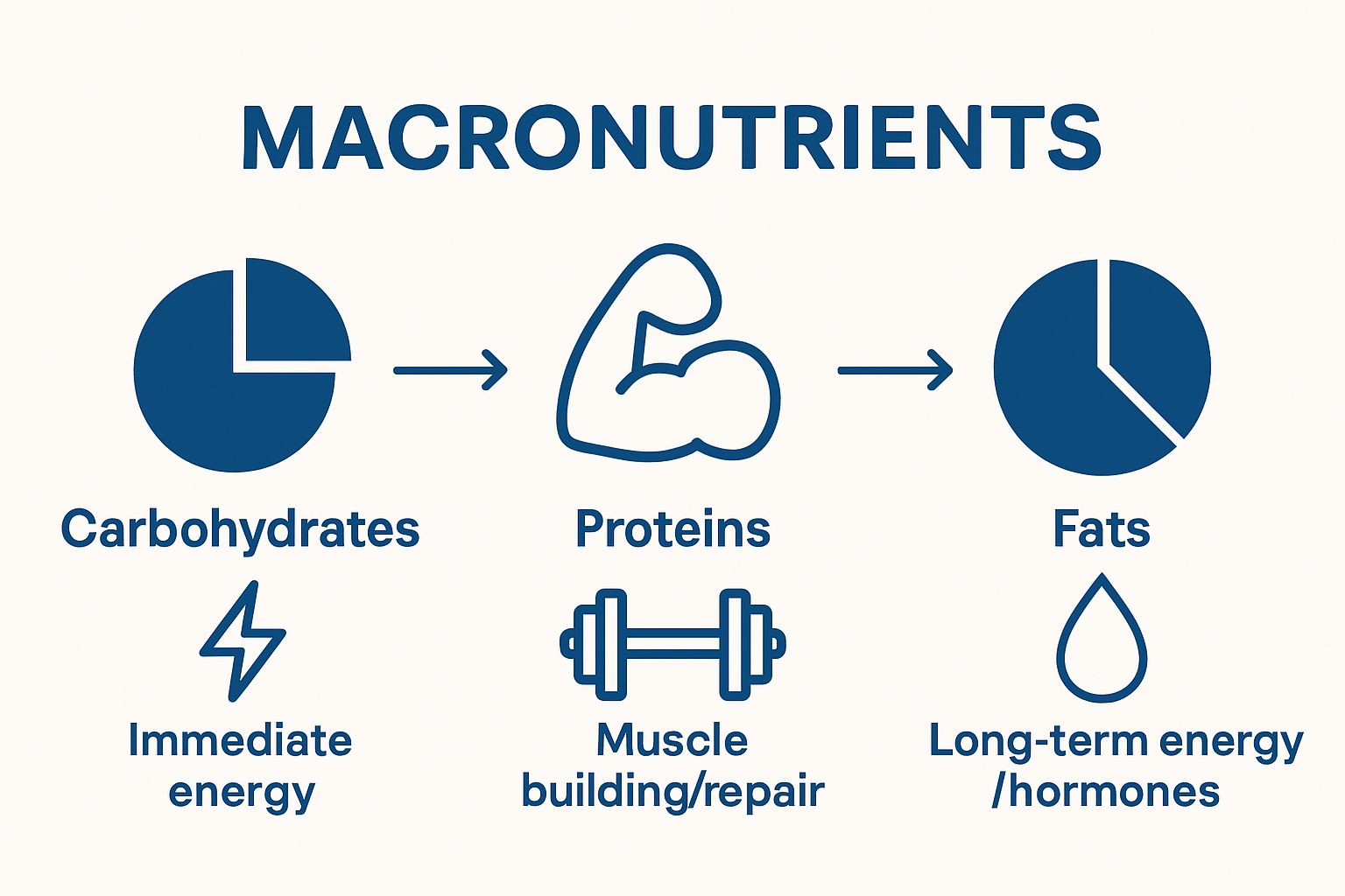 Comparison of carbohydrates, proteins, and fats using icons and function arrows