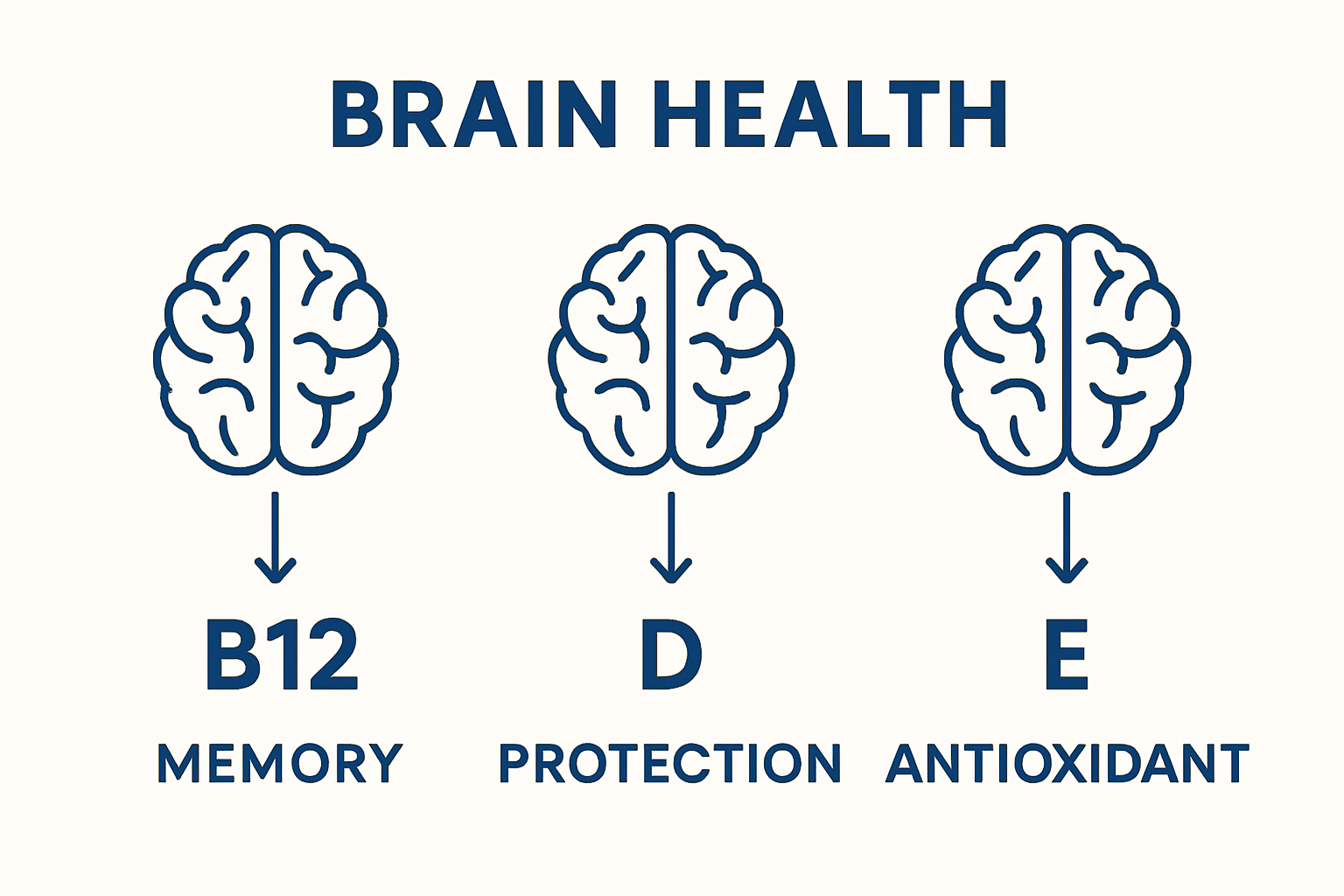 Infographic comparing B12, D, and E vitamin roles in brain health