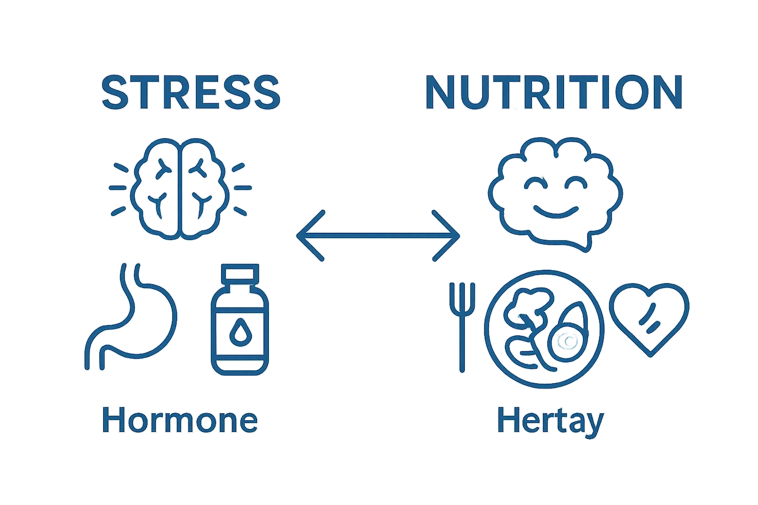 Bidirectional relationship between stress and nutrition visualized