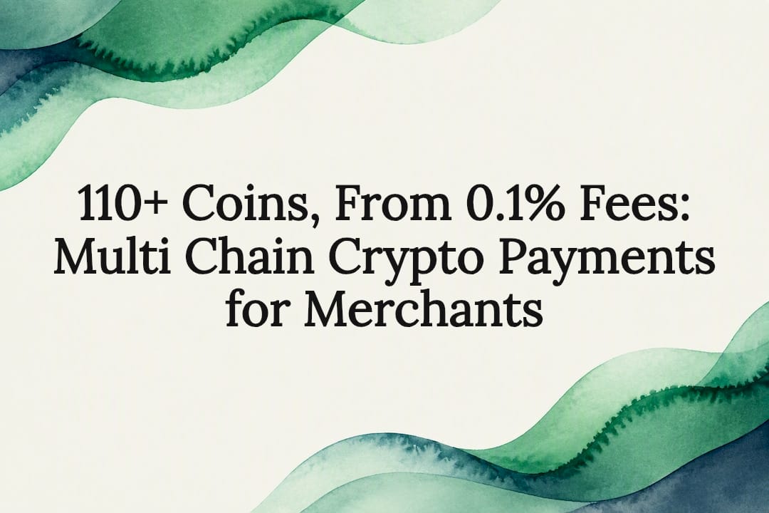110+ Coins, From 0.1% Fees: Multi Chain Crypto Payments for Merchants