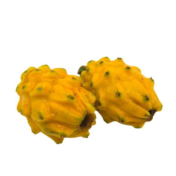 Ecuador Yellow Dragonfruit XXL