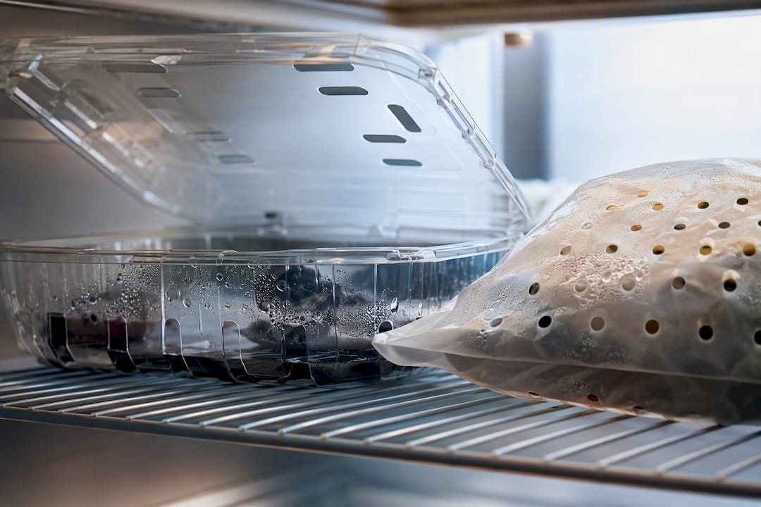 Ventilated containers for fresh fruit storage