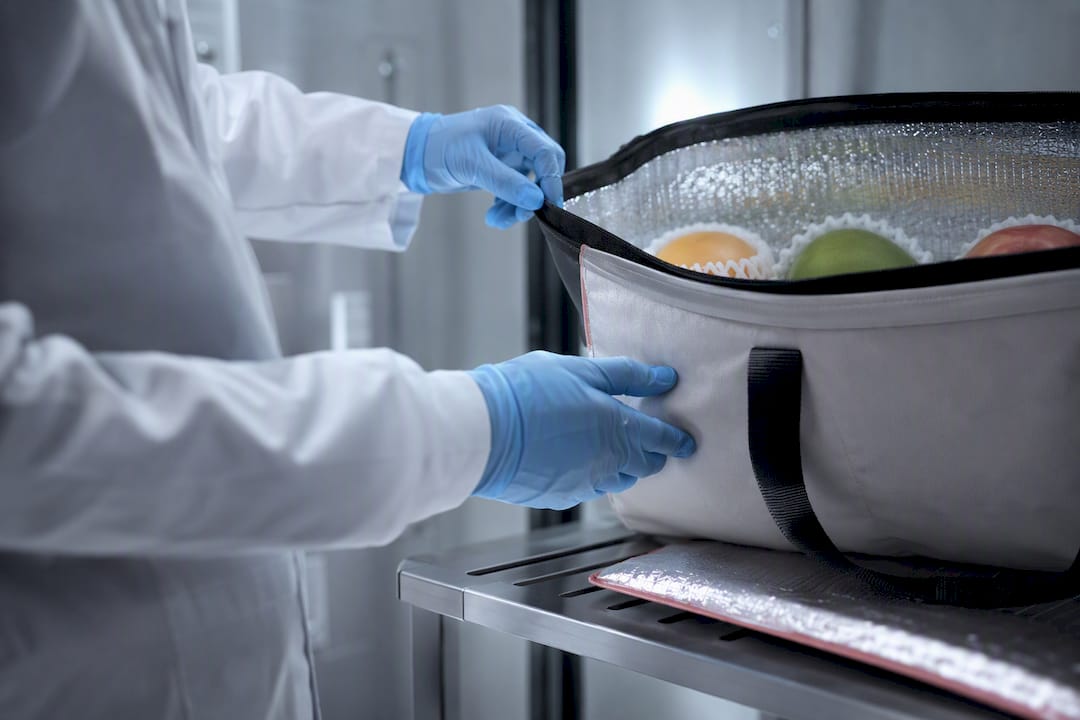 Worker inspecting temperature-controlled fruit delivery tote
