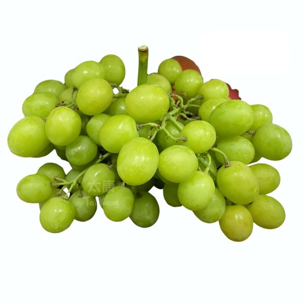 USA Sweet Globe Seedless Green Grapes