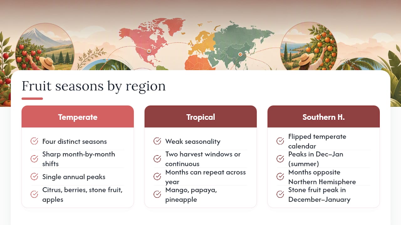 How Do Fruit Seasons Differ by Region? — overview diagram