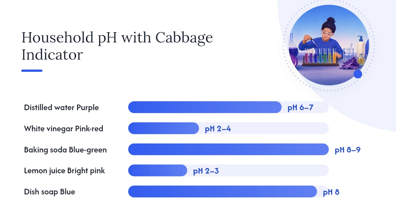 Diagram showing household solution pH and indicator colors