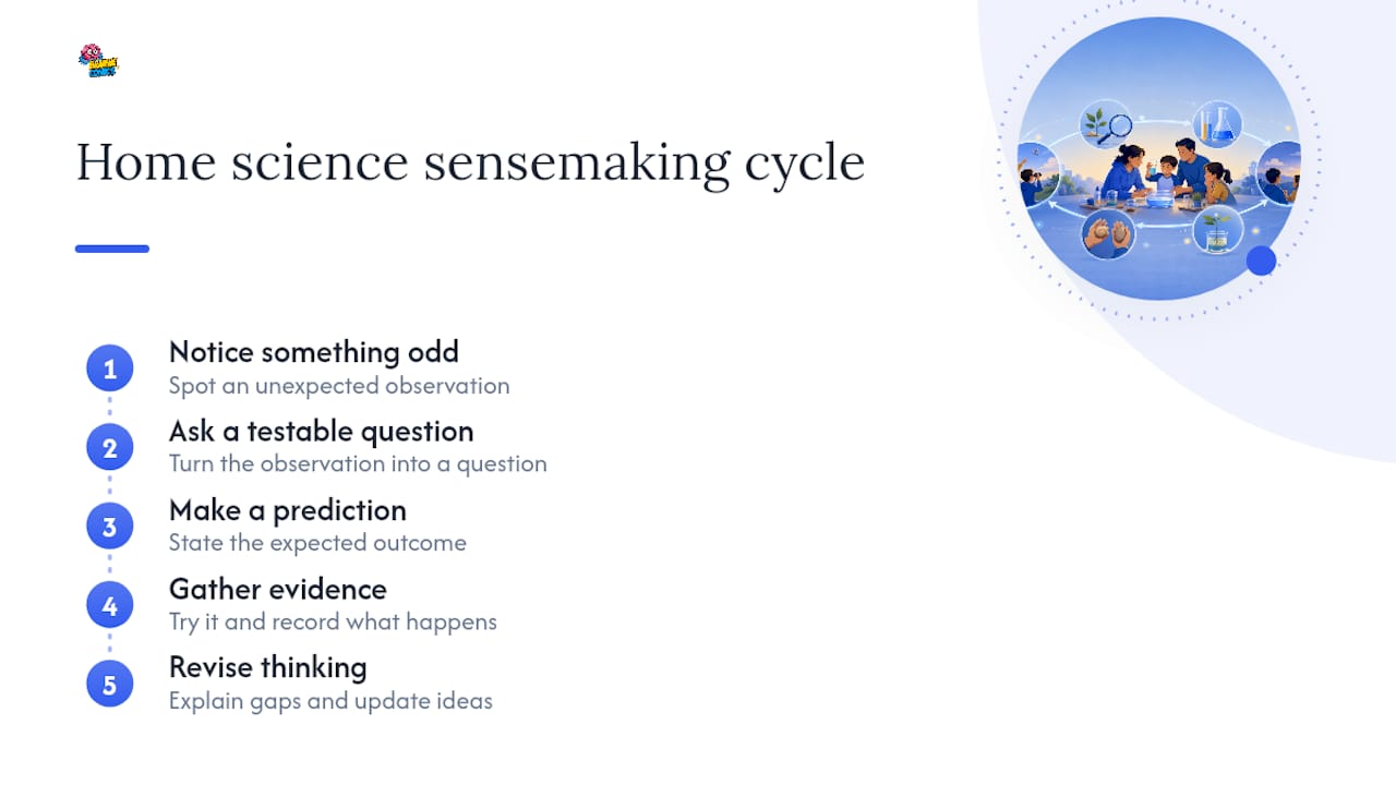 Five-step home science sensemaking loop